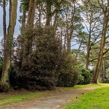 Aux Pins Maritimes - A22 Apartment *